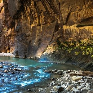 Meet your Posher, Arshia